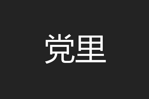 党里
