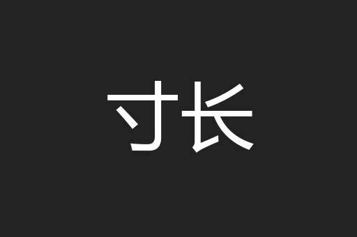 寸长