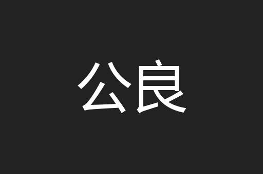 公良
