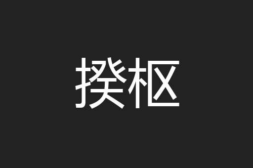 揆枢