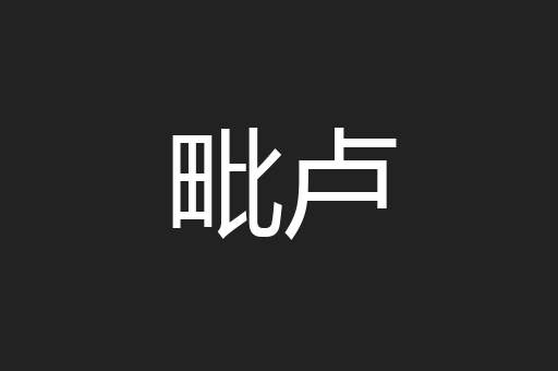 毗卢