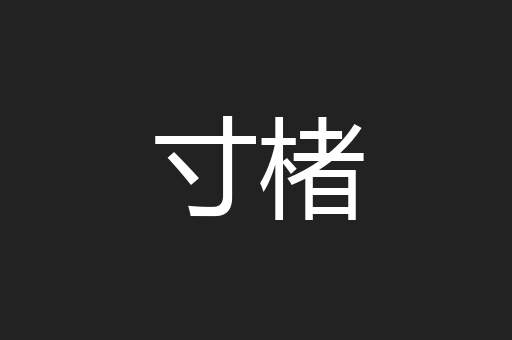 寸楮