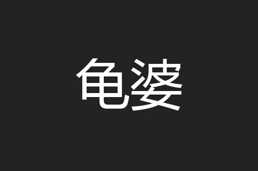 龟婆