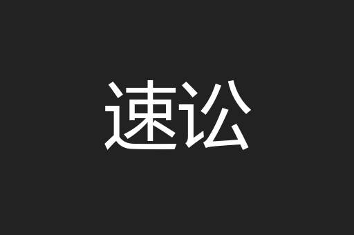 速讼
