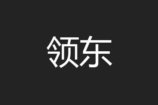 领东