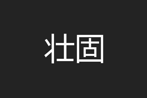 壮固
