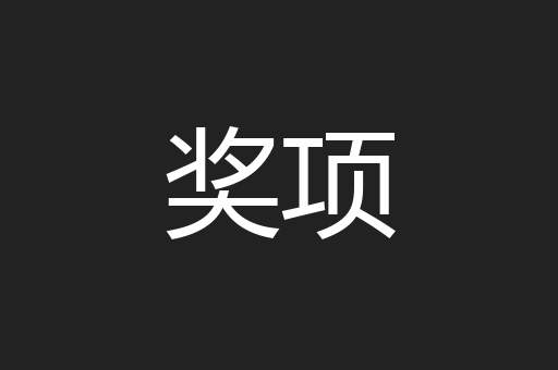 奖项