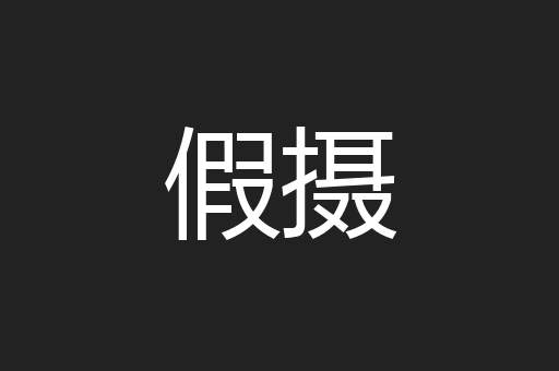 假摄