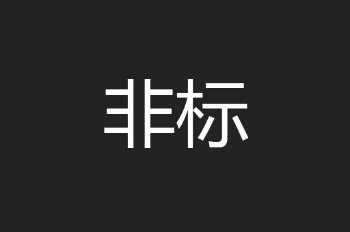 非标