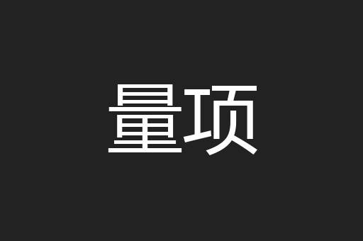量项