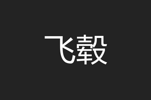 飞毂