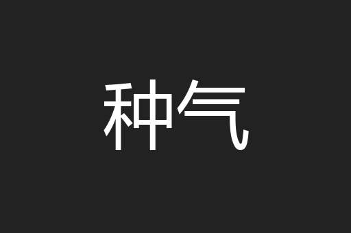 种气