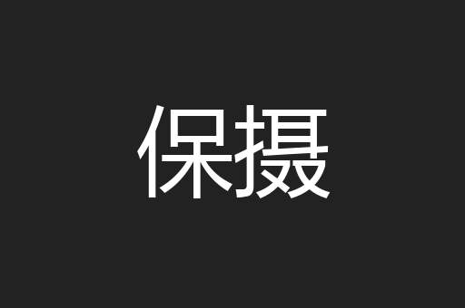 保摄