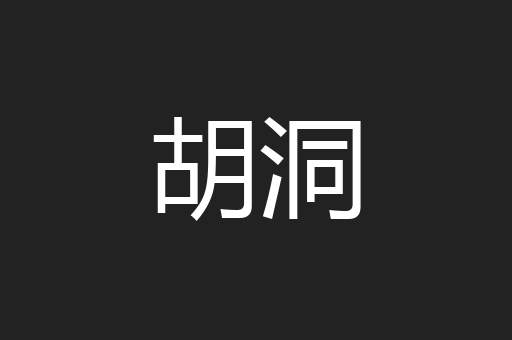 胡洞