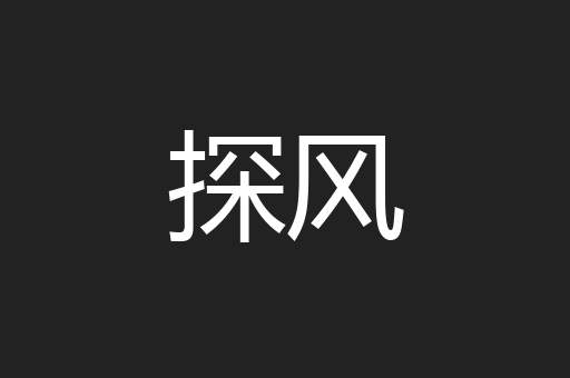 探风