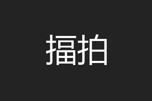 揊拍