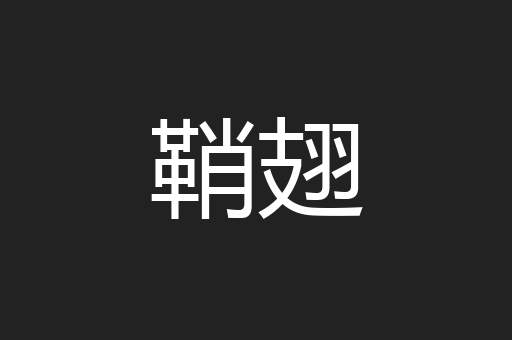 鞘翅