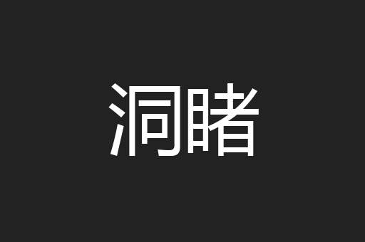 洞睹