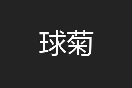 球菊