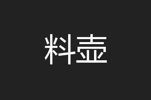 料壶