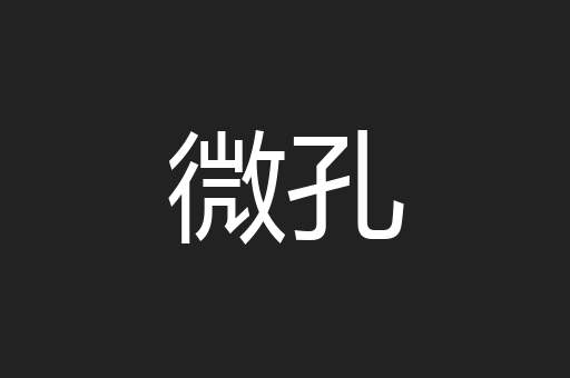 微孔