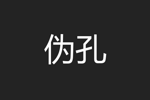 伪孔