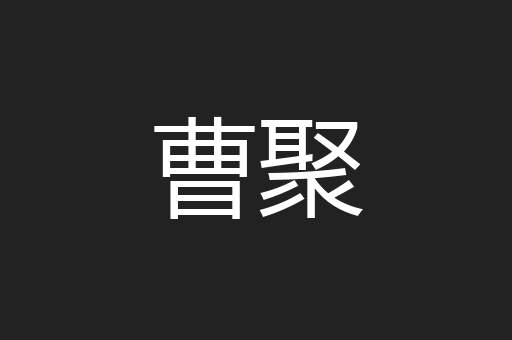 曹聚