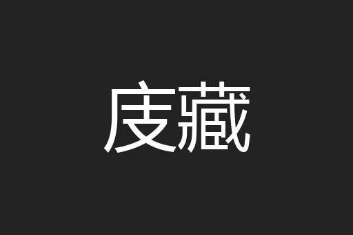 庋藏
