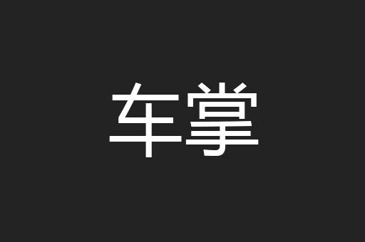 车掌