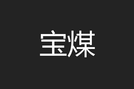 宝煤
