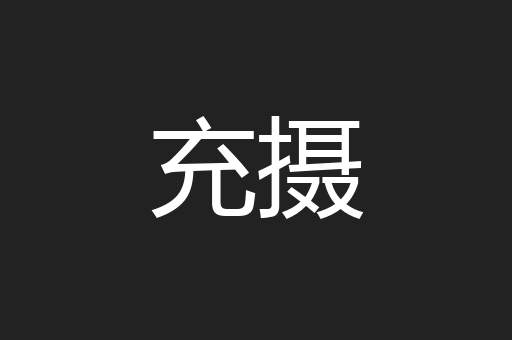 充摄