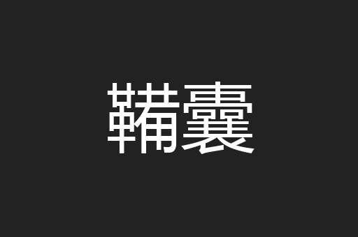 鞴囊