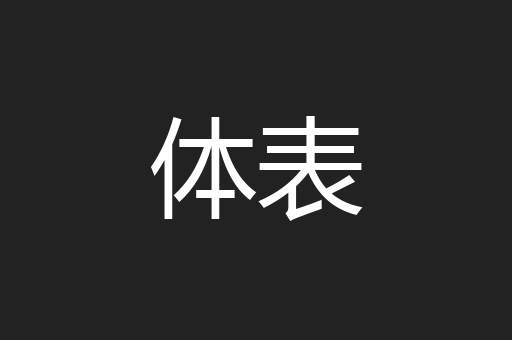 体表