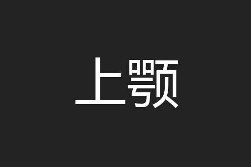 上颚