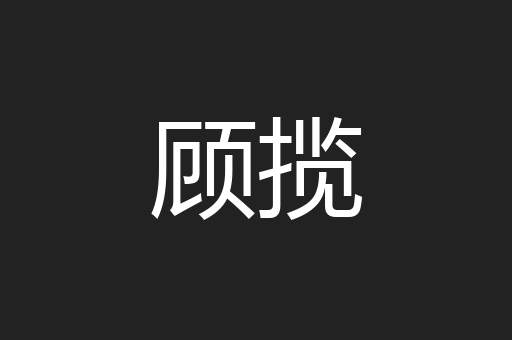 顾揽