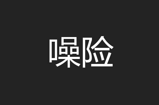 噪险