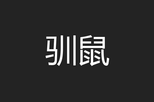 驯鼠