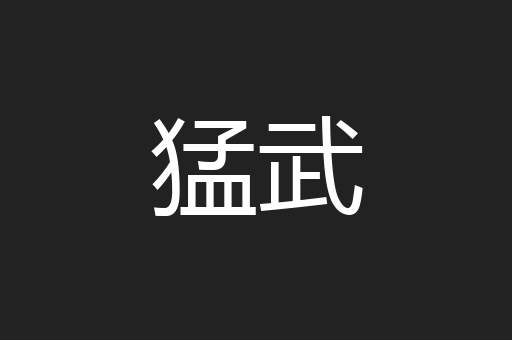 猛武