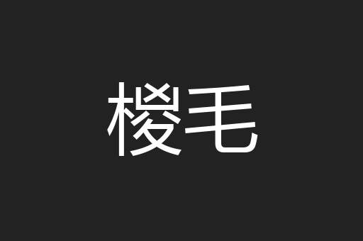 椶毛