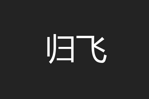 归飞