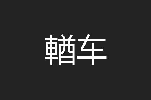 輶车