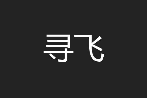 寻飞