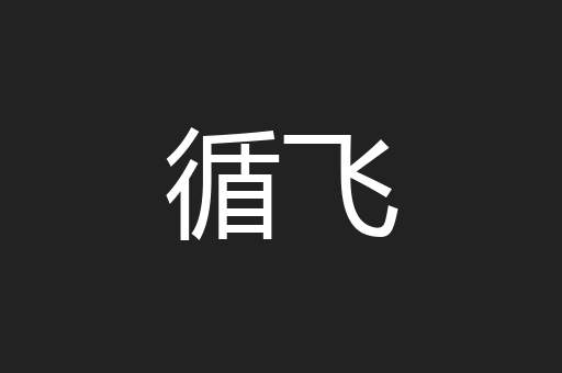 循飞