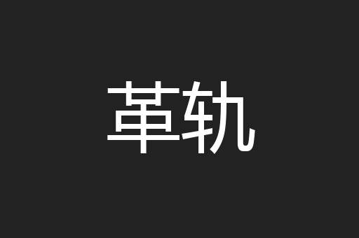 革轨