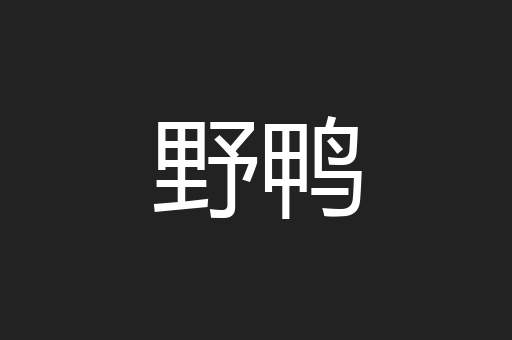 野鸭