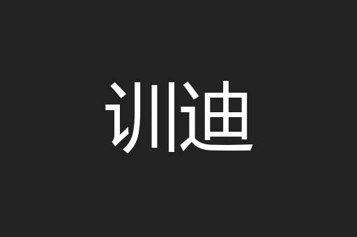 训迪