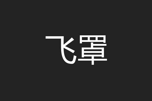 飞罩