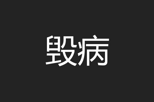毁病