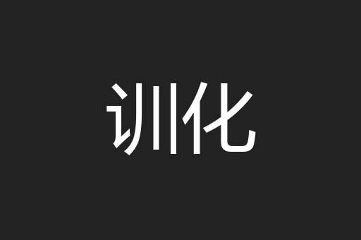 训化