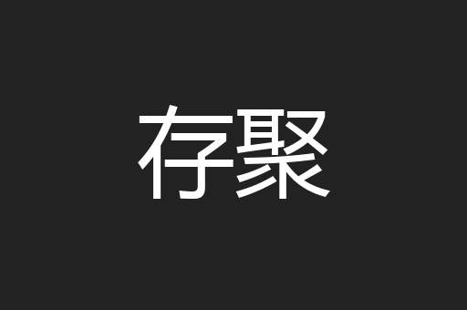 存聚